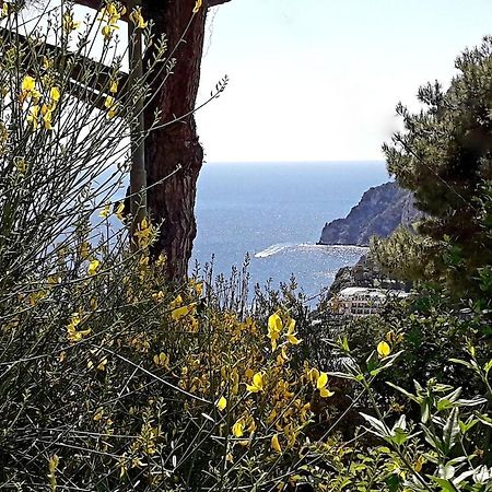Villetta Rosetta Capri Exterior foto
