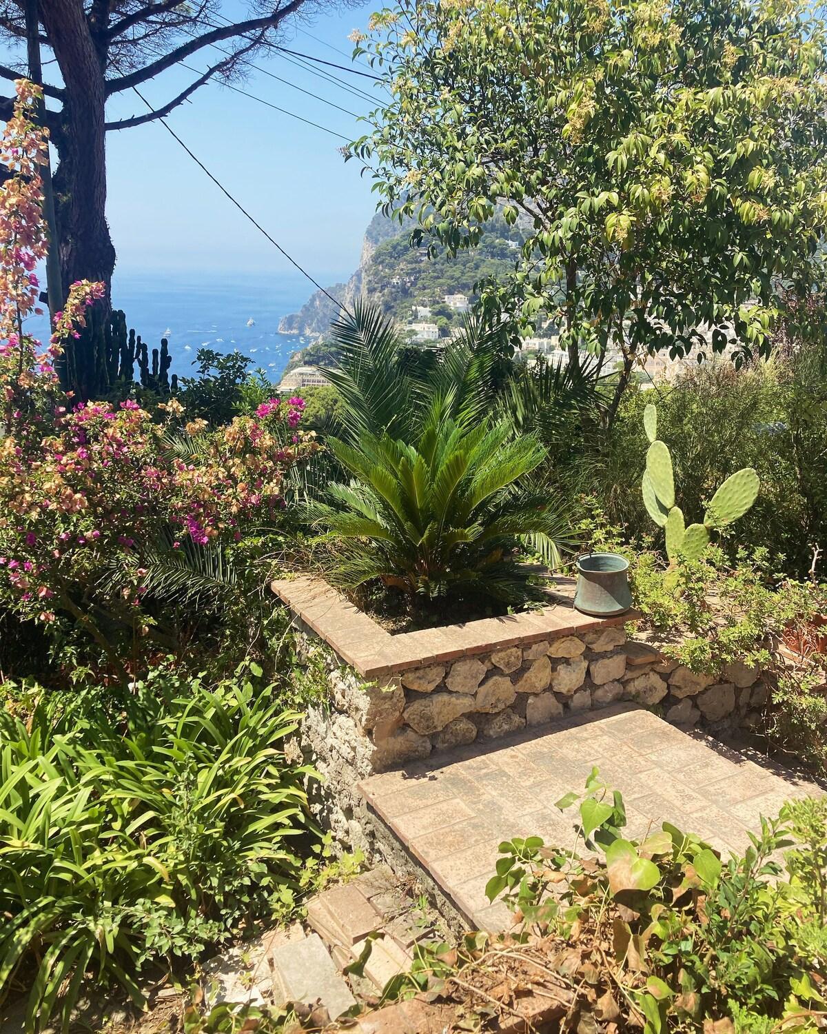 Villetta Rosetta Capri Exterior foto