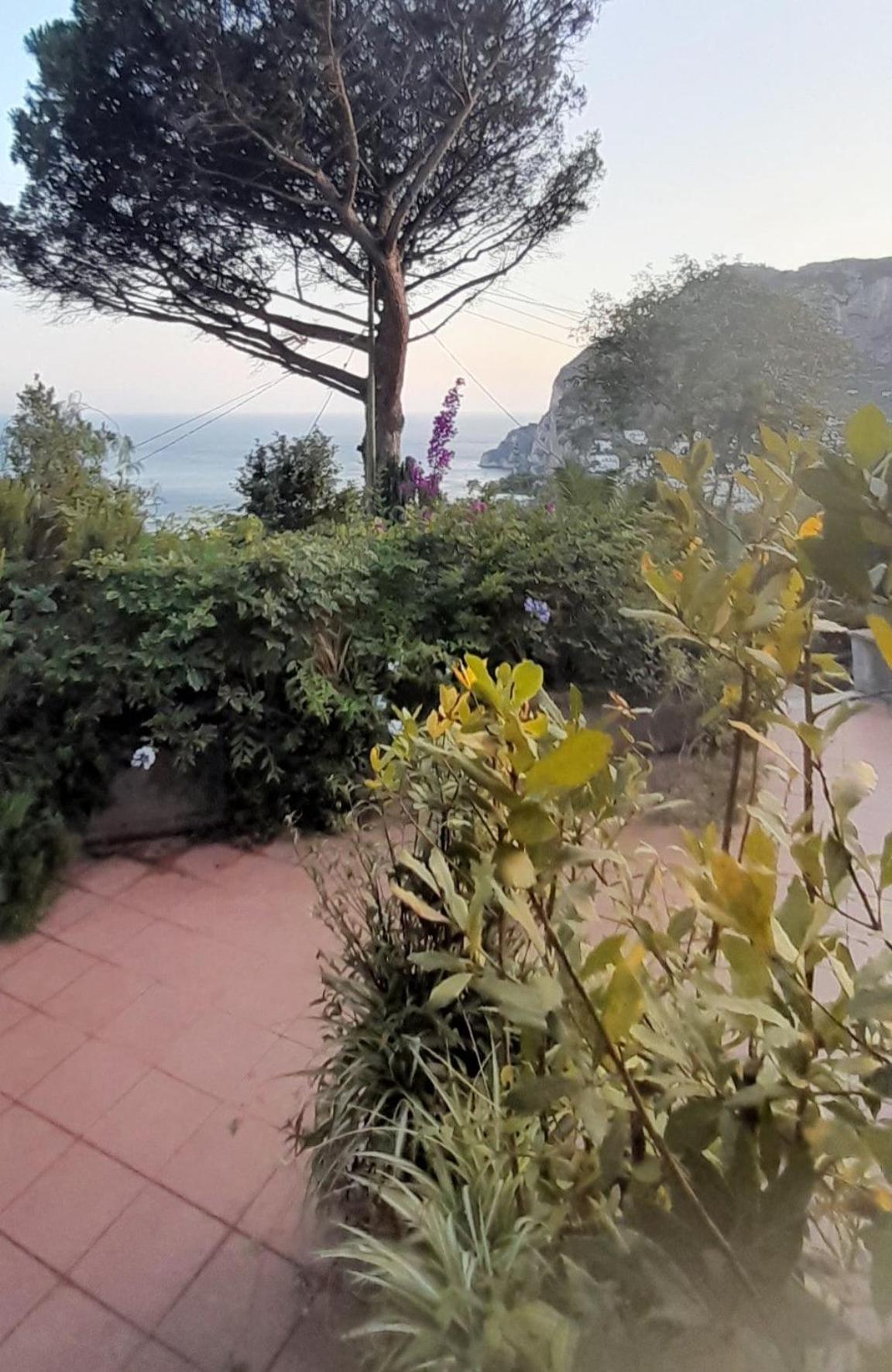 Villetta Rosetta Capri Exterior foto