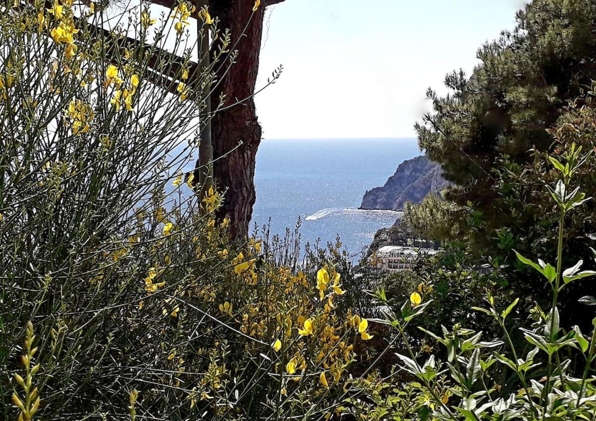 Villetta Rosetta Capri Exterior foto