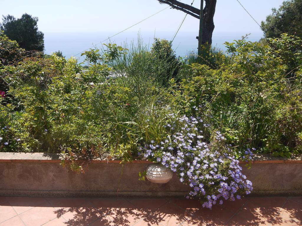 Villetta Rosetta Capri Exterior foto